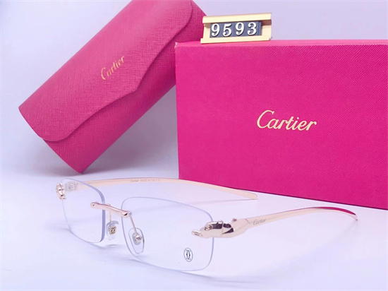 Cartier Sunglass A 015